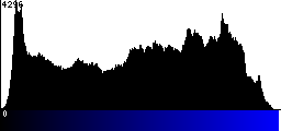 Blue Histogram