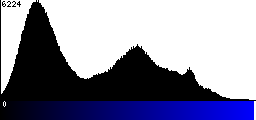 Blue Histogram