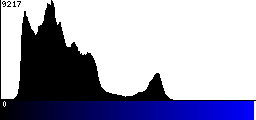 Blue Histogram