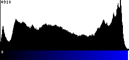 Blue Histogram