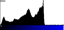 Blue Histogram