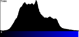 Blue Histogram