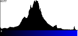 Blue Histogram
