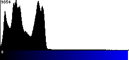 Blue Histogram