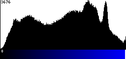Blue Histogram