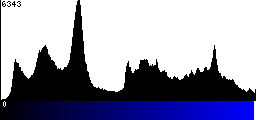 Blue Histogram