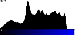 Blue Histogram