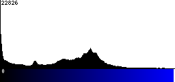 Blue Histogram