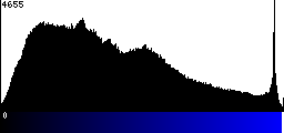 Blue Histogram