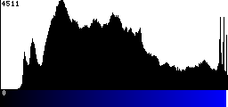 Blue Histogram