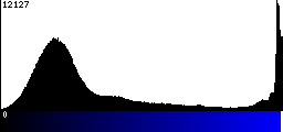 Blue Histogram