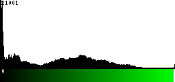 Green Histogram