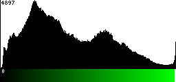 Green Histogram