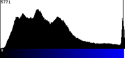 Blue Histogram