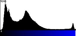Blue Histogram