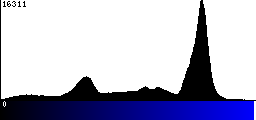 Blue Histogram