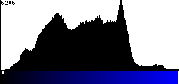 Blue Histogram
