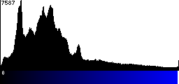 Blue Histogram