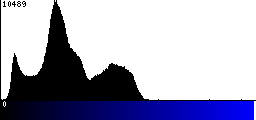 Blue Histogram