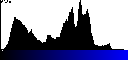 Blue Histogram