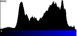 Blue Histogram