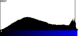 Blue Histogram
