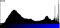 Blue Histogram