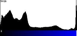 Blue Histogram