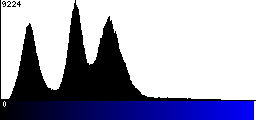 Blue Histogram