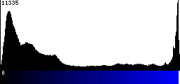 Blue Histogram