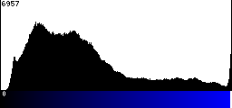 Blue Histogram