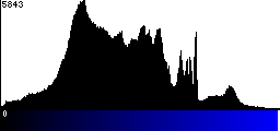 Blue Histogram