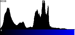 Blue Histogram