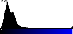 Blue Histogram
