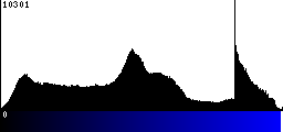 Blue Histogram