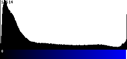 Blue Histogram