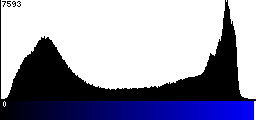 Blue Histogram