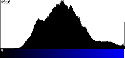 Blue Histogram