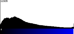 Blue Histogram