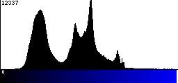 Blue Histogram