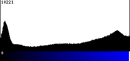 Blue Histogram