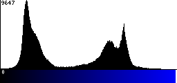 Blue Histogram