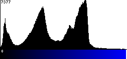 Blue Histogram