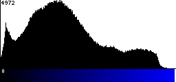 Blue Histogram