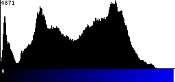 Blue Histogram