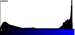 Blue Histogram