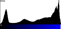 Blue Histogram