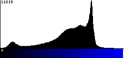 Blue Histogram