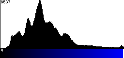Blue Histogram