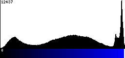 Blue Histogram